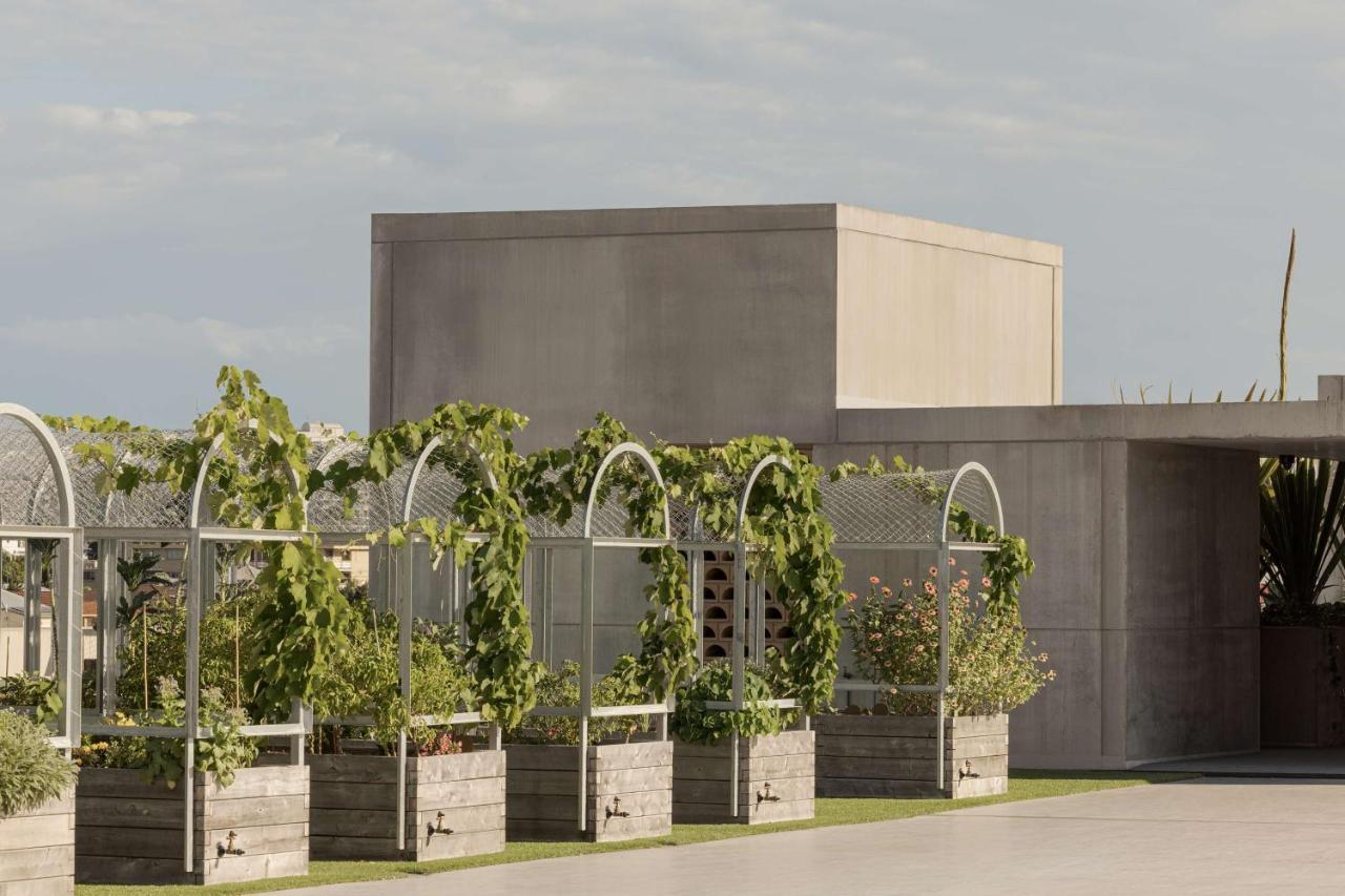 The Calile Hotel Brisbane Exterior photo The winery at H.L. Stubb's vineyard